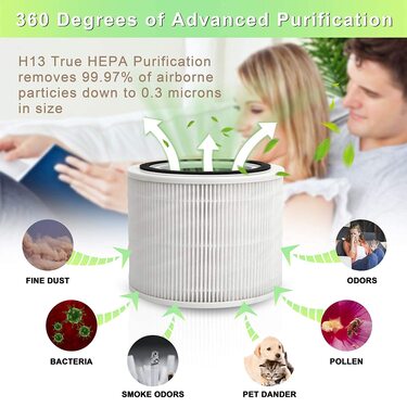 HSIAMEN 2-Pack HEPA Core 300-RF Replacement Filter – Compatible With Levoit Air Purifiers